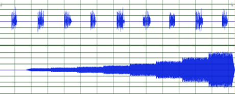 Progression des rapports signal sur bruit