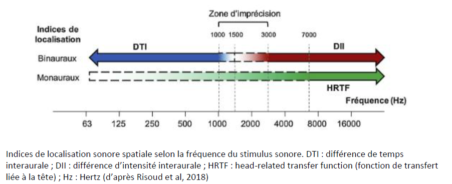 Indices de localisation sonore